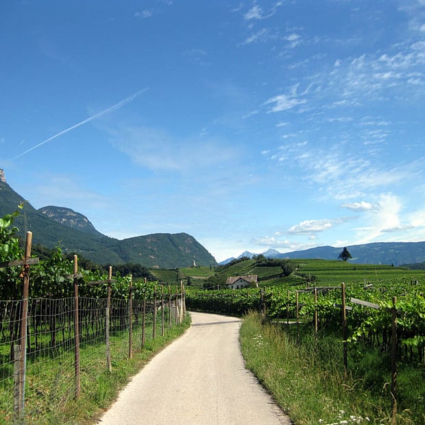 Vom Kalterer See über Kaltern, Altenburg und Graun Richtung Fennberg und zurück über Kurtatsch und Tramin