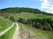 Steineralm – © mtbsepp.de
