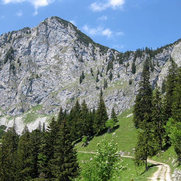 Beschwerliche Tour zu den traumhaft gelegenen Scharnitz-Almen unterhalb der Benediktenwand und der Achselköpfe