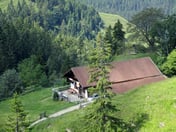 Antretter Alm – © mtbsepp.de