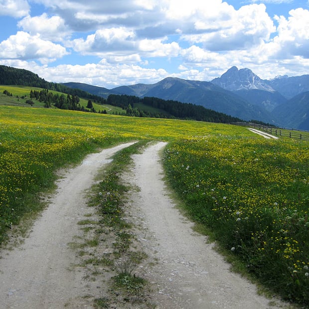 Ausgewogene MTB-Tour vom Parkplatz Herol bei Lüsen durch die Rodenecker-Lüsner Alm zur Schutzhütte Kreuzwiesenalm