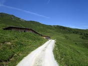 Wiedersberger Alm – © mtbsepp.de