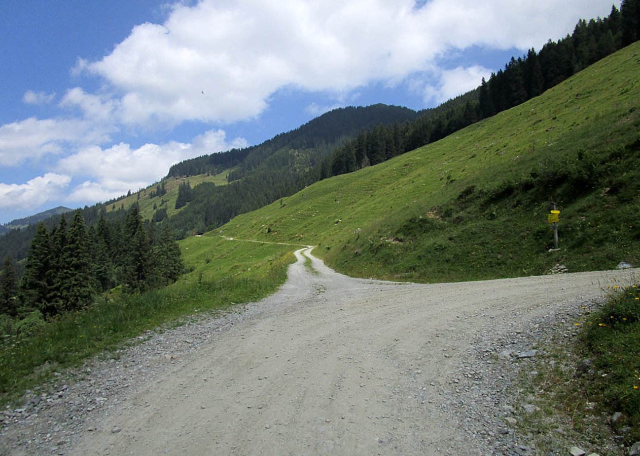 Beschauliche Mountainbike-Tour von Inneralpbach durch den Lueger Graben zum Almladen Inner-Mareit