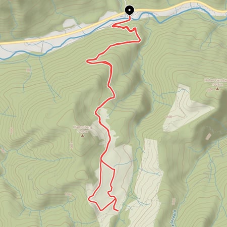 Entlang der Weltmeisterschafts-Naturrodelbahn von Kreuth hinauf zur Königsalm am Schildenstein