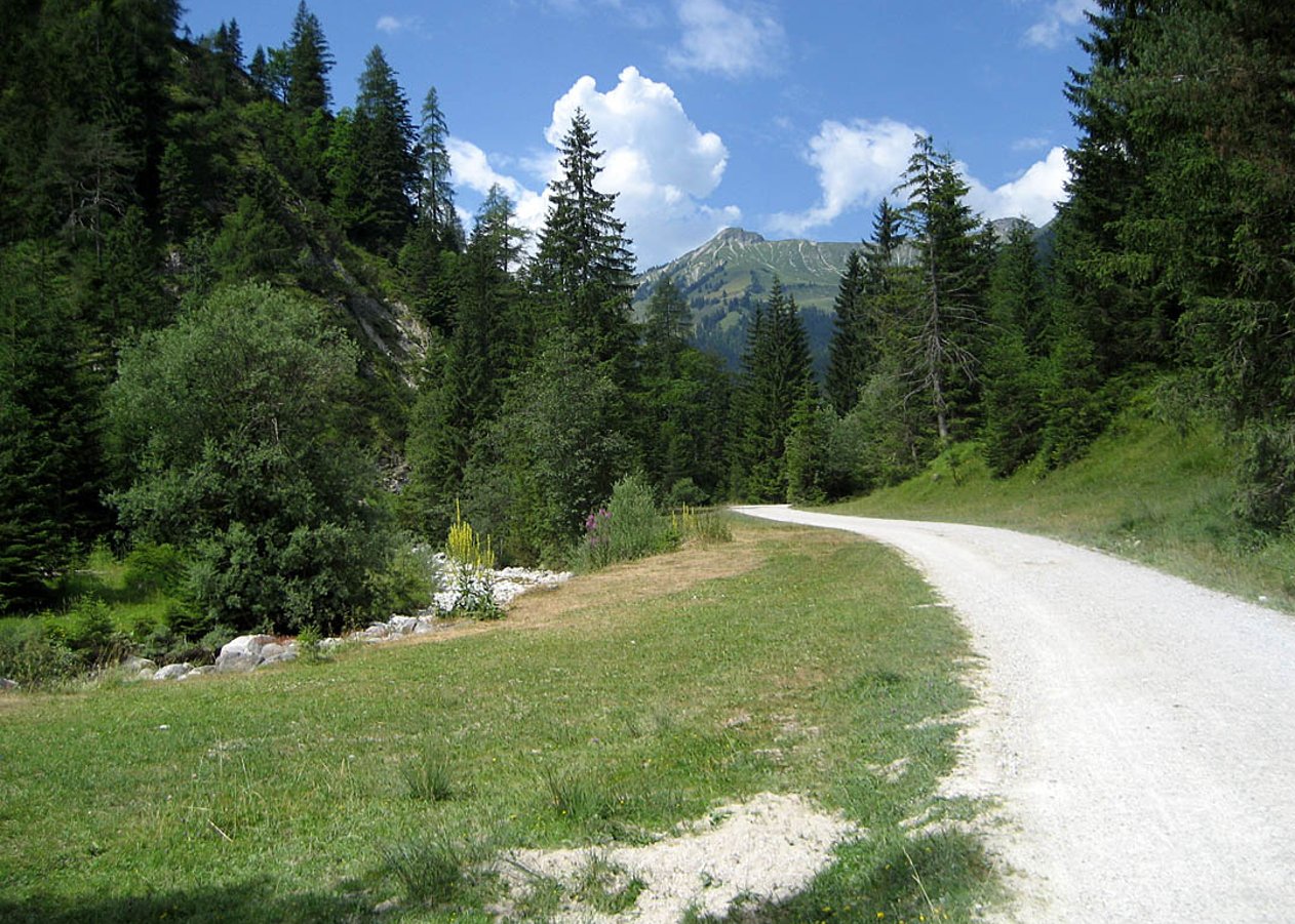 Moderate Biketour von Achenkirch über das Unterautal zu Gröbenalm und Kleinzemmalm am Rether Kopf