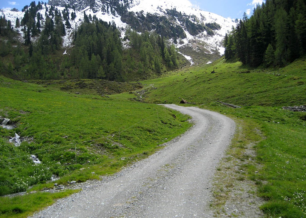 Von Inneralpbach durch das Alpbachtal über Greitalm und Farmkehralm in Richtung Großer Galtenberg