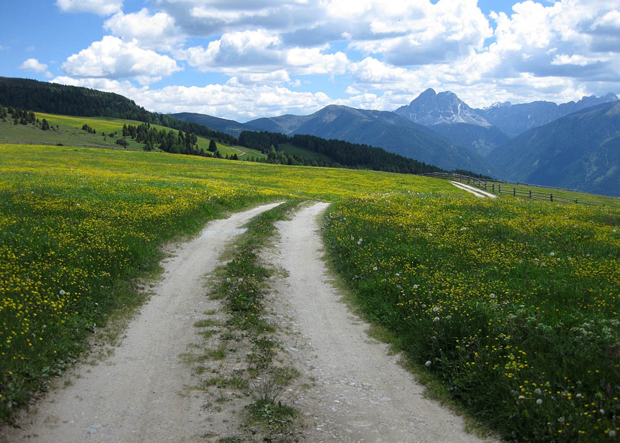 Ausgewogene MTB-Tour vom Parkplatz Herol bei Lüsen durch die Rodenecker-Lüsner Alm zur Schutzhütte Kreuzwiesenalm