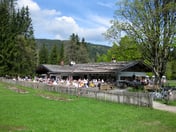 Berggaststätte Bauer In Der Au – © mtbsepp.de