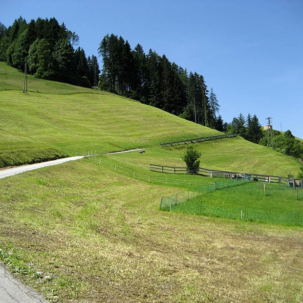 Von Buch in Tirol über Gallzein und Koglmoos zur Proxen Alm unterhalb von Gratzenkopf und Kellerjoch