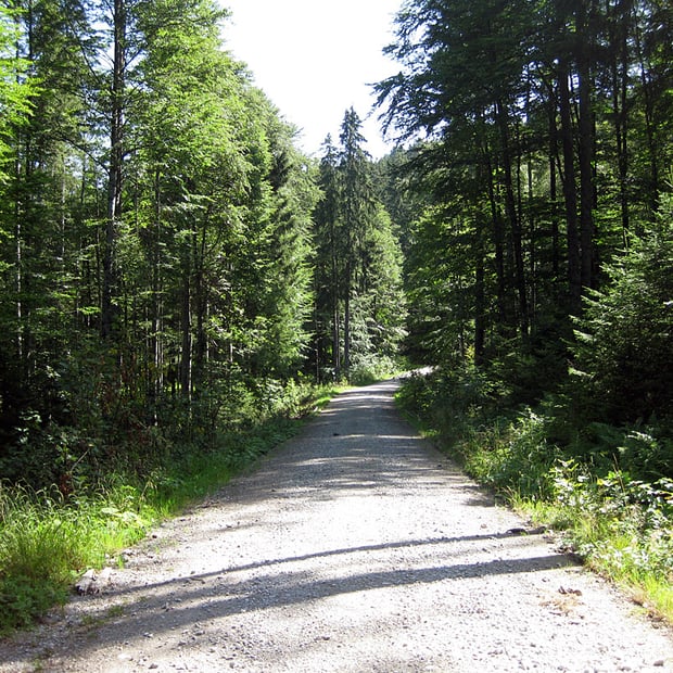 Von Lenggries durch das Hirschbachtal hinauf zur Lenggrieser Hütte unterhalb des Seekarkreuz