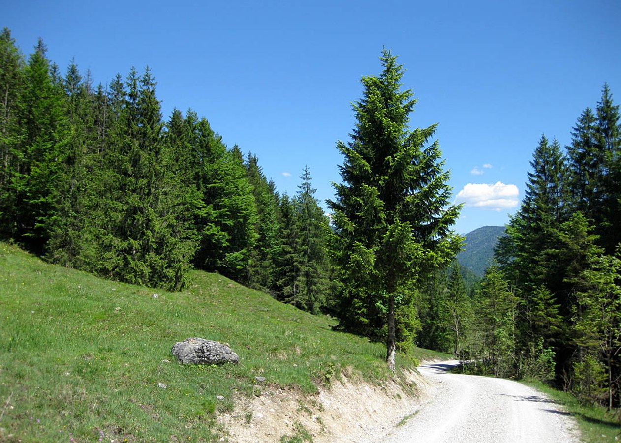 MTB-Ausfahrt von Lenggries Leger über das Röhrmoostal zur idyllisch gelegenen Unteren Schronbachalm im gleichnamigen Schronbachtal