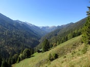 Brünstalm – © mtbsepp.de