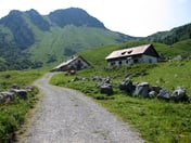 Grosstiefentalalm – © mtbsepp.de