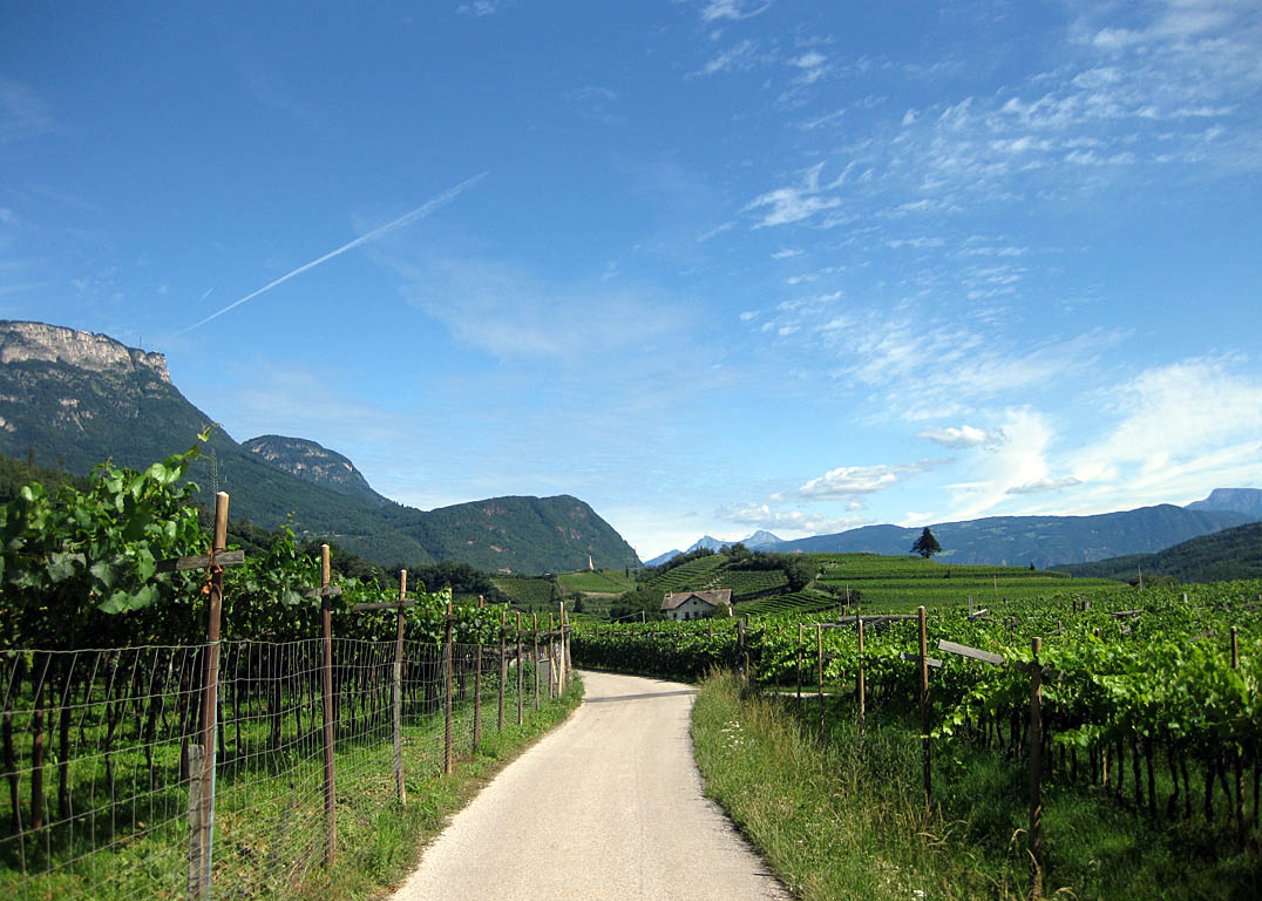 Vom Kalterer See über Kaltern, Altenburg und Graun Richtung Fennberg und zurück über Kurtatsch und Tramin