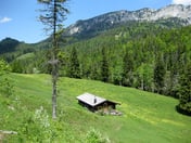 Obere Orterer Alm – © mtbsepp.de