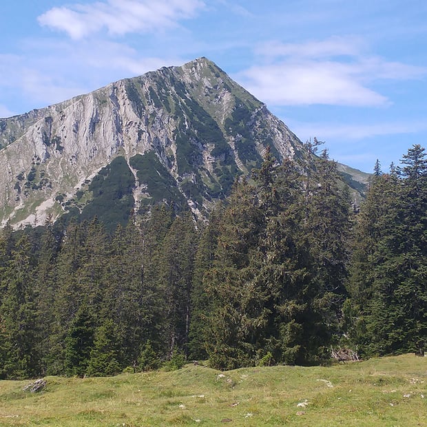 Kurzweilige Bike & Hike Tour mit kurzem Hike-Anteil von Krün hinauf zur bewirteten Krüner Alm im Estergebirge
