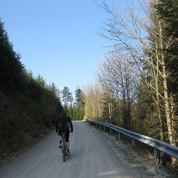 Zum Blomberghaus, von der Talstation der Blombergbahn entlang des Fahrweges