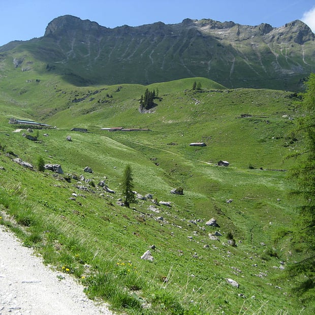 Über Falkenmoosalm und Großzemmalm zur Lämpereralm im weitläufigen Almgebiet unterhalb des Juifen