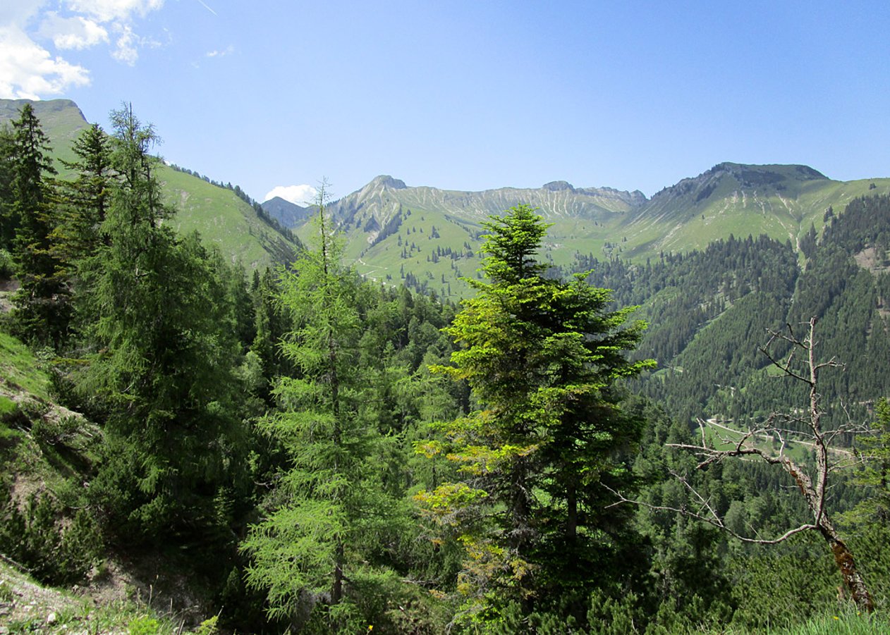 Von Achenkirch durch das Skigebiet Christlum zur abgeschiedenen Moosenalm eingebettet in die malerische Kulisse am Fuße der Zunderspitze