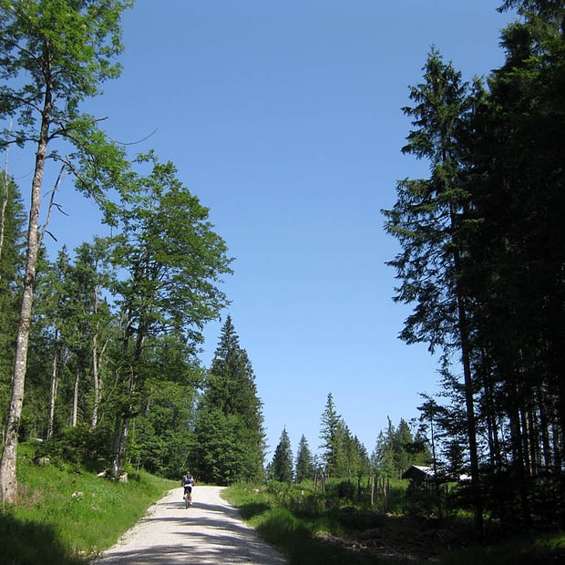 Einfache Mountainbike-Tour von Fall am Ufer des Sylvensteinsees entlang des Faller Rundwegs über die Wiesalm um den Roßkopf und zurück nach Fall