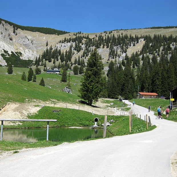 Mountainbike-Tour für Einsteiger vom Spitzingsee in das weitläufige Gebiet der Schönfeldalm zu Rauhkopfhütte und Schönfeldhütte unterhalb des Jägerkamp