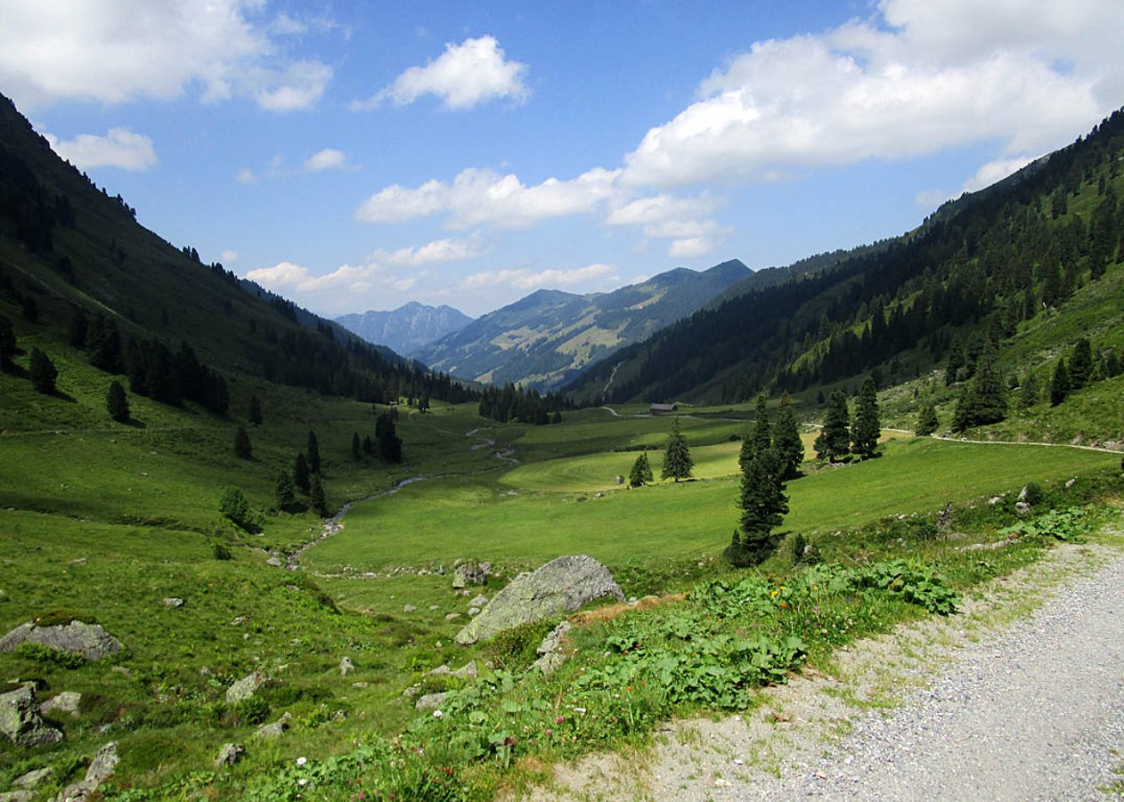 Landschaftlich schöne Mountainbike-Tour von Inneralpbach durch den Lueger Graben zur Steinbergalm
