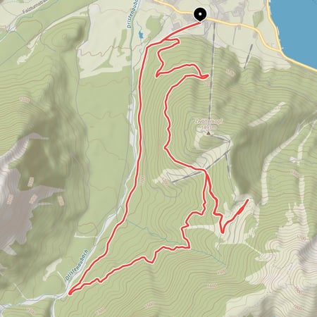 Auf die Bärenbadalm und über schönen Singletrail zurück hinab ins Tal nach Pertisau am Achensee