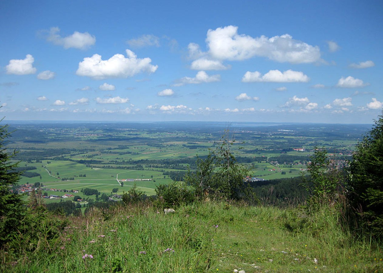 Kurze, stellenweise steil ansteigende Mountainbike-Tour von Pessenbach bei Kochel am See hinauf zur Orterer Alm