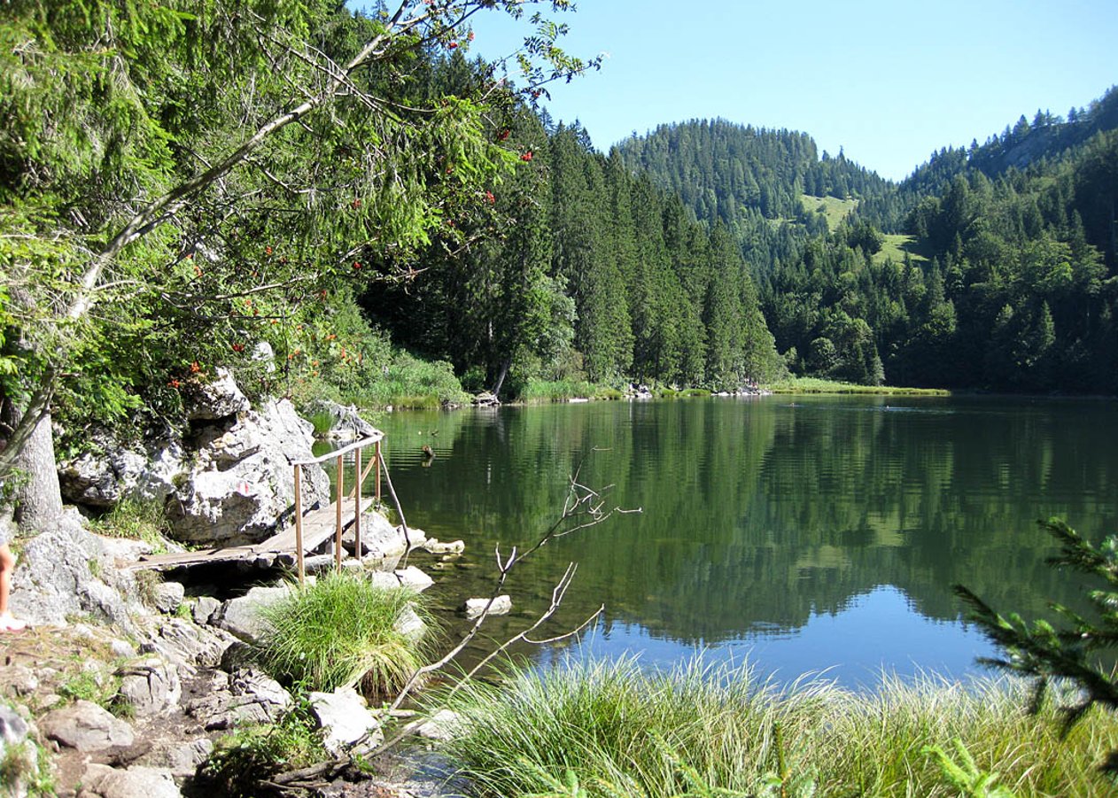 Bike&Hike Tour von Kössen zur bewirteten Frankenalm und weiter über die Hirzinghütte zum idyllischen Taubensee sowie zur gleichnamigen Taubenseehütte