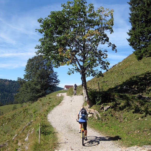 Von Jachenau entlang durch das beschauliche Lainltal hinauf zur Staffelalm unterhalb des Rabenkopfes