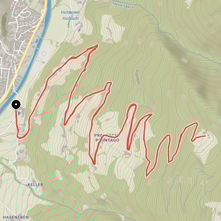 Auf den Spuren von Andreas Hofer - mit dem Mountainbike von St. Martin in Passeier auf die Pfandler Alm