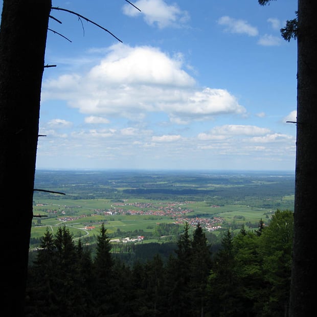 Von Marienstein bei Waakirchen hinauf zur beschaulichen Sigrizalm am Rechelkopf