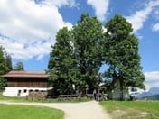 Berggaststätte Gschwandtnerbauer – © mtbsepp.de