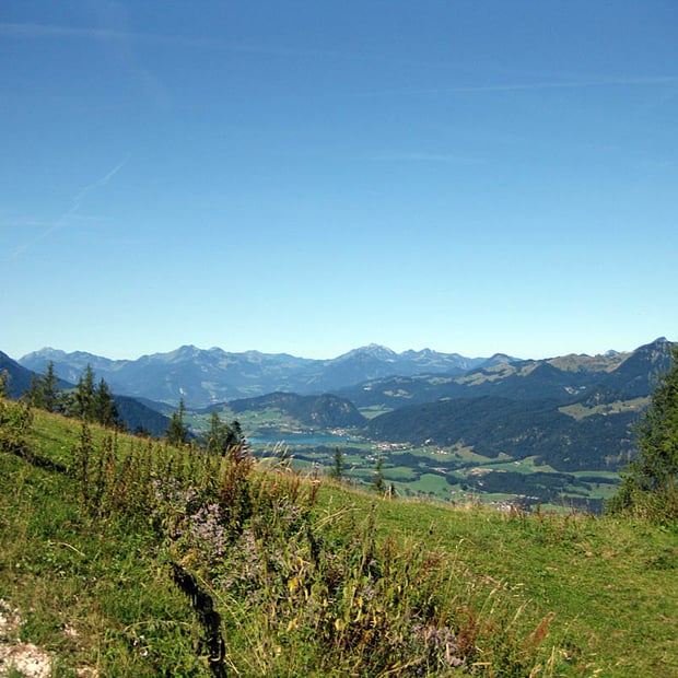 Herausfordernde Mountainbike-Tour von der Talstation der Bergbahnen in Kössen über Scheibenwaldhütte und Bärenhütte auf das Unterberghorn