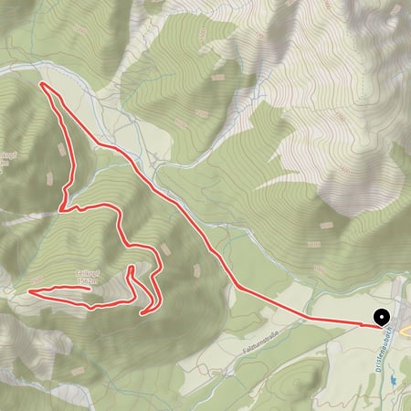 Von Pertisau am Achensee durch das Pletzachtal auf die Feilalm und den Gipfel des Feilkopfes