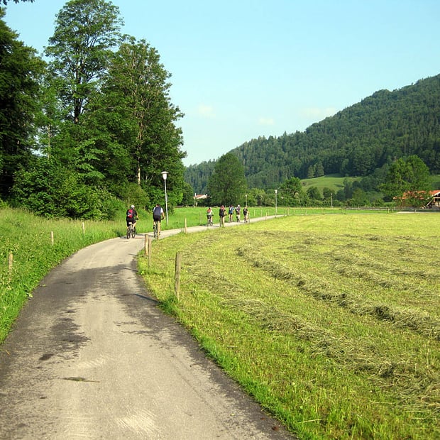 Von Enterrottach über die Kühzaglalm zur Unteren Freudenreichalm zwischen Bodenschneid und Brecherspitz