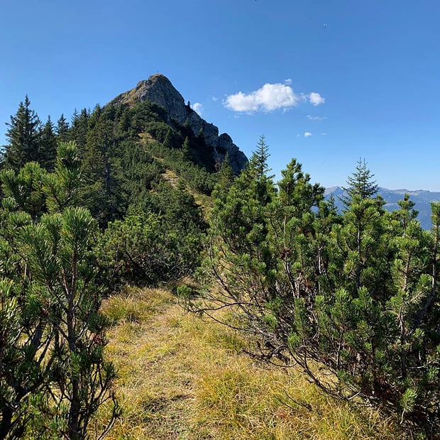 Einsame aber landschaftlich traumhafte Bike & Hike Tour von Vorderriß auf den Hohen Grasberg im bayerischen Karwendel
