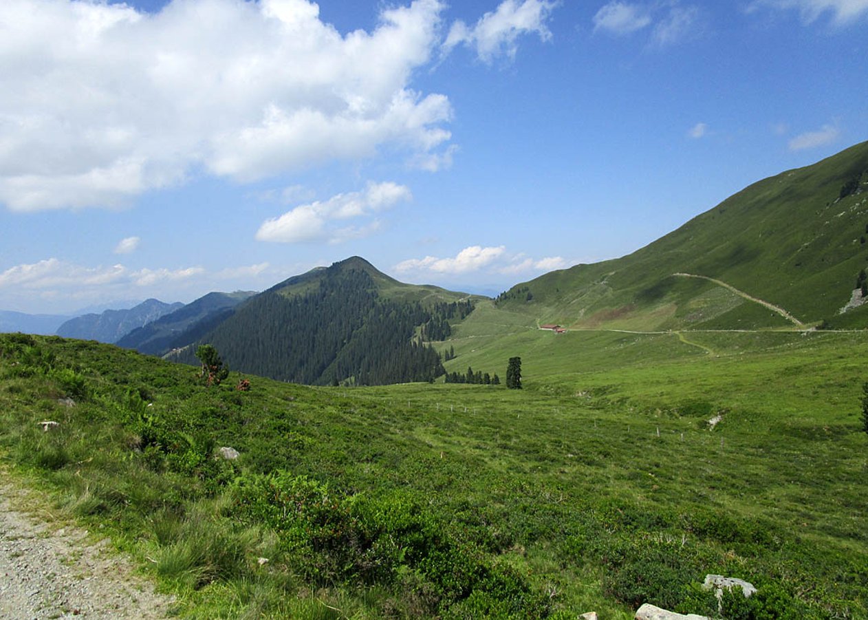 Mountainbike-Tour durch den Lueger Graben zur Faulbaumgartenalm und weiter zur Feldalm oberhalb des Alpbachtals