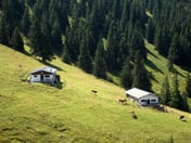 Lucken-Alm – © mtbsepp.de