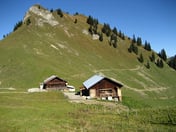 Tiefenbachalm – © mtbsepp.de