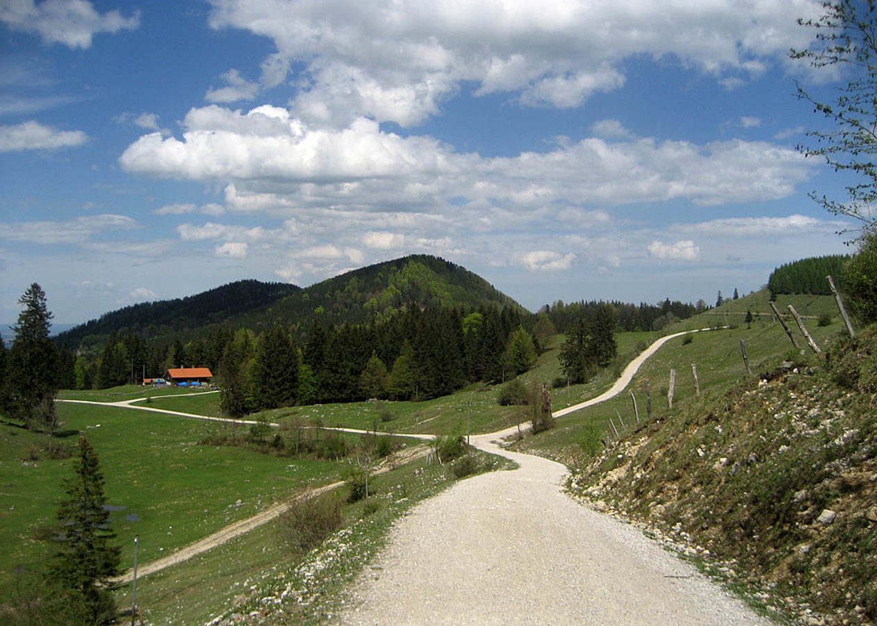 Von Frasdorf über Frasdorfer Hütte vorbei an Schmiedalm und Hofalm hinauf zur Riesenhütte am Hochries