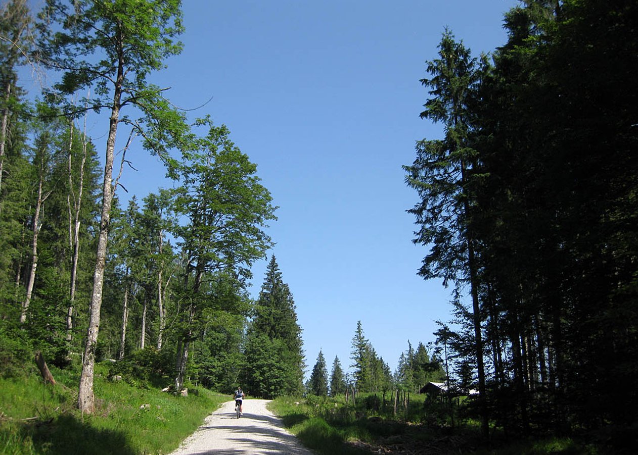 Einfache Mountainbike-Tour von Fall am Ufer des Sylvensteinsees entlang des Faller Rundwegs über die Wiesalm um den Roßkopf und zurück nach Fall