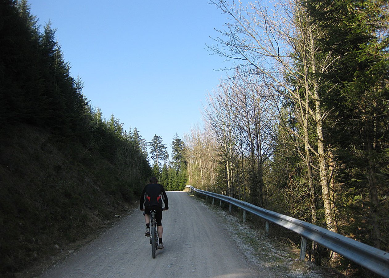 Zum Blomberghaus, von der Talstation der Blombergbahn entlang des Fahrweges