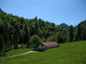 Untere Schronbachalm – © mtbsepp.de