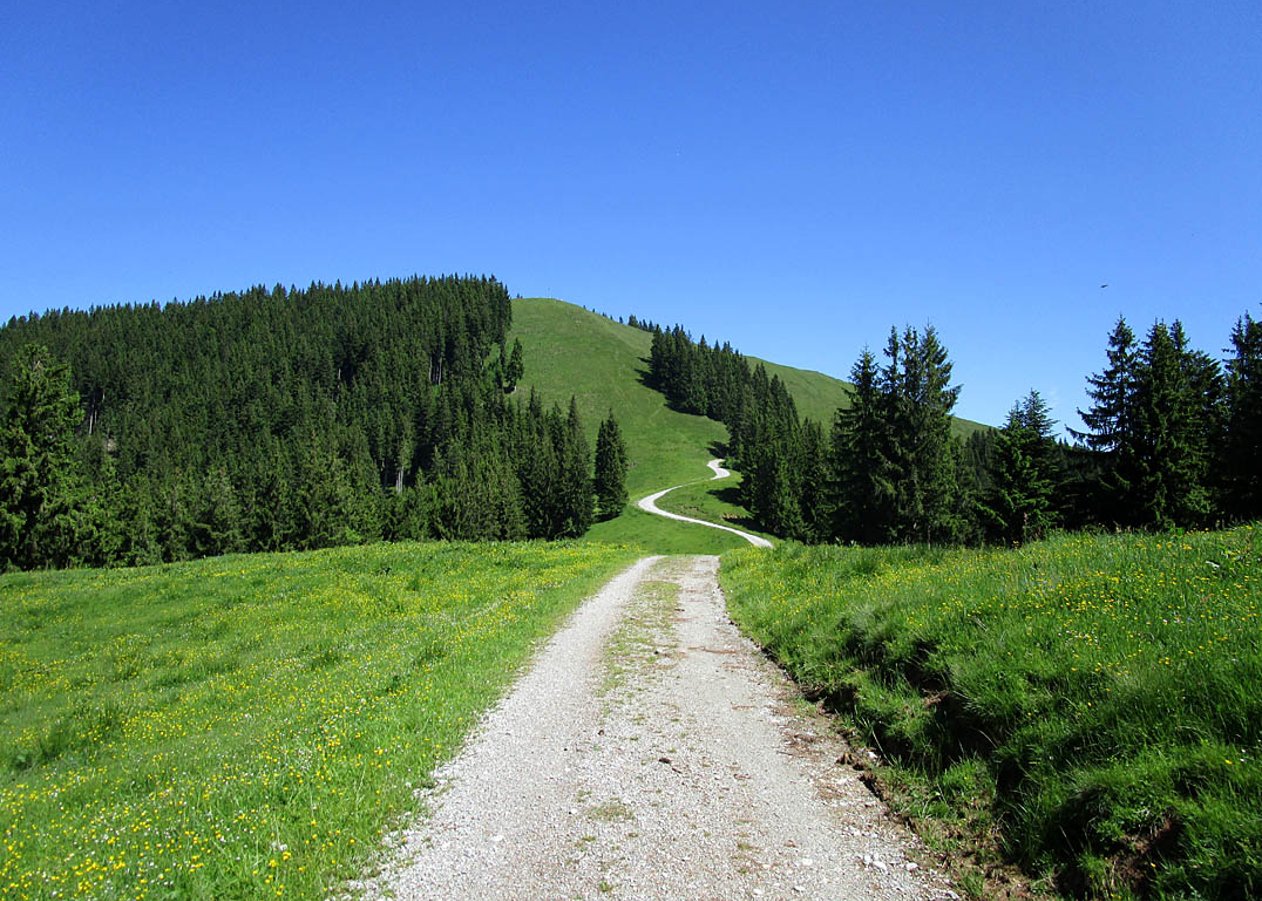 Ausgewogene Mountainbike-Tour von der Waldherralm über den Zwiesel zum Blomberghaus mit anschließender Abfahrt ins Tal und über Steinsäge zurück