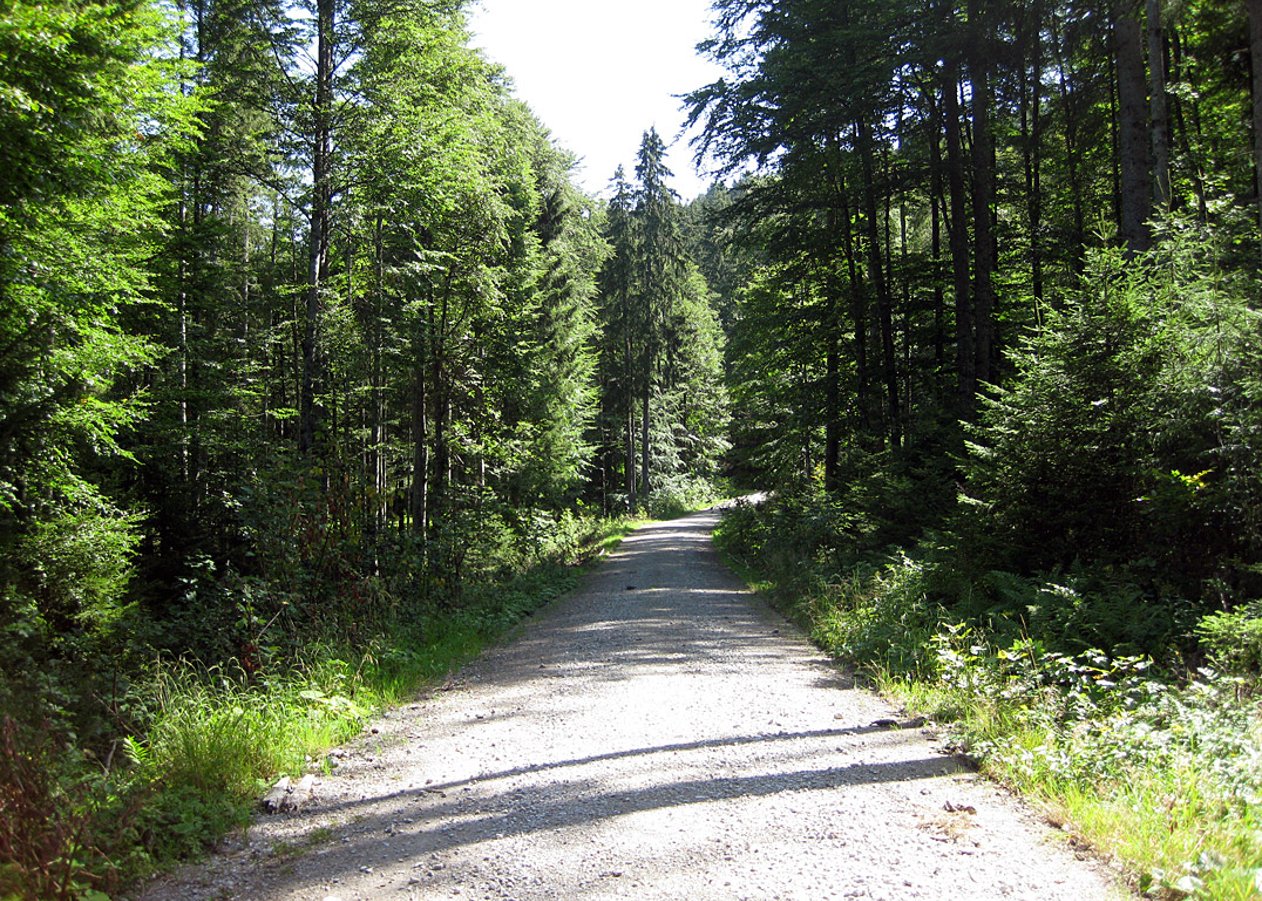 Von Lenggries durch das Hirschbachtal hinauf zur Lenggrieser Hütte unterhalb des Seekarkreuz