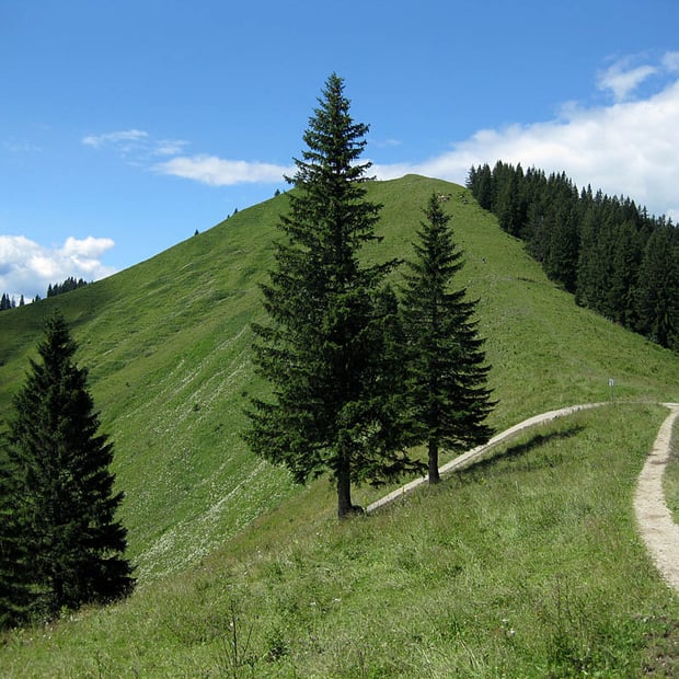 Kampen-Rundtour von Lenggries in Richtung Seekarkreuz zur Rauhalm, ins Söllbachtal und über Aueralm und Hirschtalsattel zurück