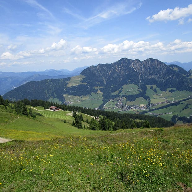 Ausgedehnte Rundtour von Inneralpbach zur Dauerstoa Alm am Fuße des Wiedersberger Horns und über Asthütte zurück hinunter ins Tal